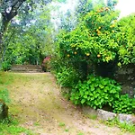 Vakantiehuis Quinta Da Lapa Do Gato Mesquitela