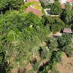 Quinta Da Lapa Do Gato * Mesquitela