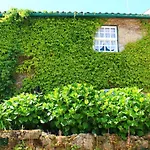Quinta Da Lapa Do Gato *
