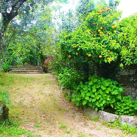 Ferienhaus Quinta Da Lapa Do Gato Mesquitela