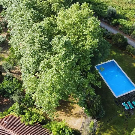 Quinta Da Lapa Do Gato * Mesquitela