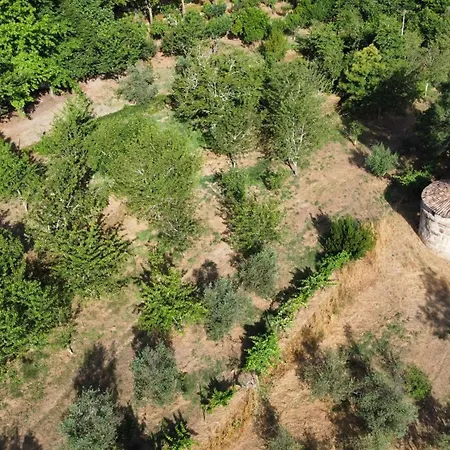 Ferienhaus Quinta Da Lapa Do Gato Mesquitela