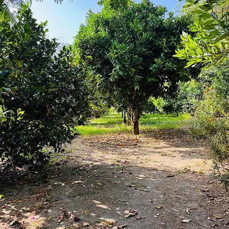 Quinta Da Lapa Do Gato * Mesquitela