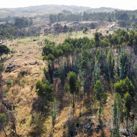 Ferienhaus Quinta Da Lapa Do Gato Mesquitela