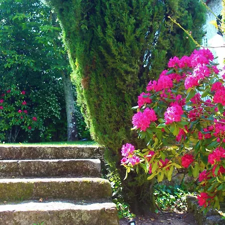 Quinta Da Lapa Do Gato Mesquitela