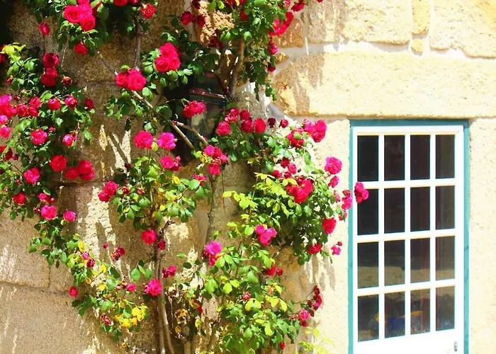 Hébergement de vacances Quinta Da Lapa Do Gato