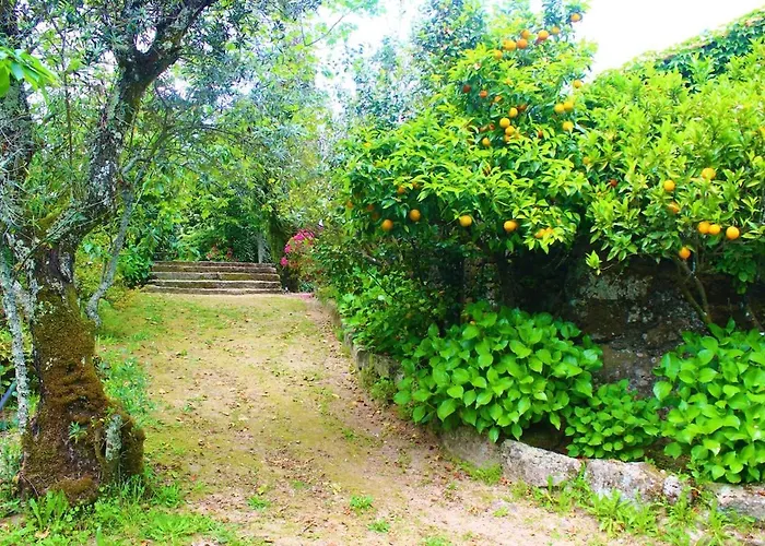 Holiday home Quinta Da Lapa Do Gato Mesquitela