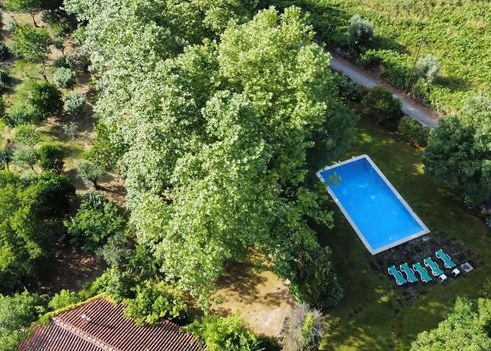 Quinta Da Lapa Do Gato * Mesquitela