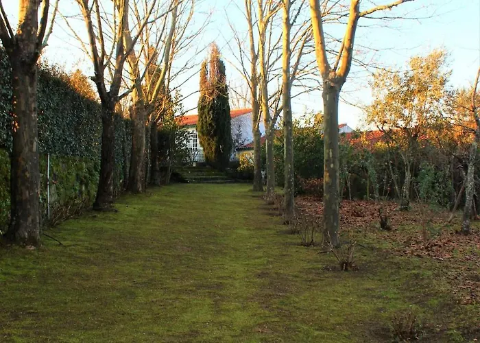 Quinta Da Lapa Do Gato Hébergement de vacances Mesquitela