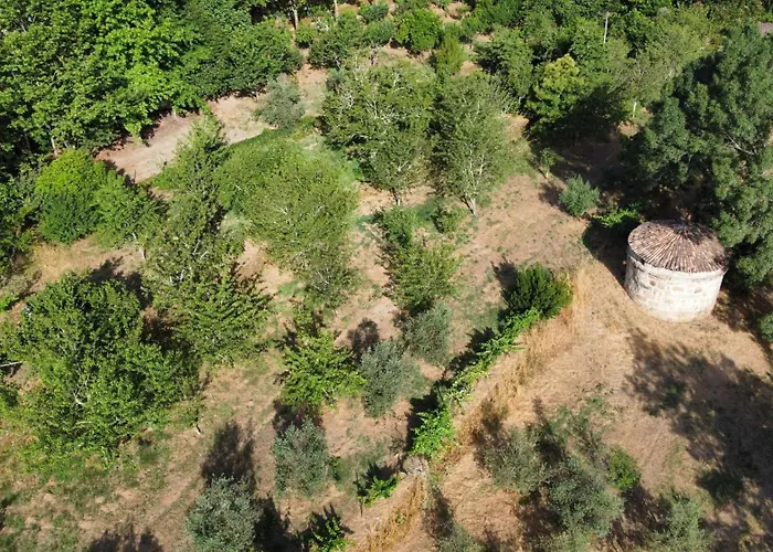 Holiday home Quinta Da Lapa Do Gato Mesquitela