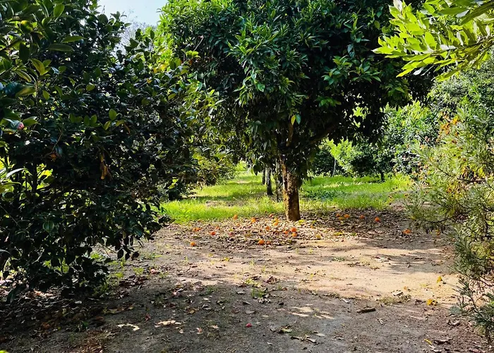 Quinta Da Lapa Do Gato * Mesquitela