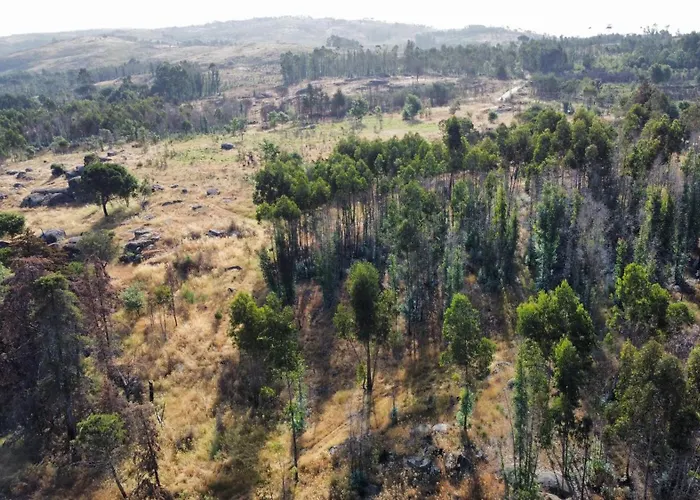 Hébergement de vacances Quinta Da Lapa Do Gato Mesquitela