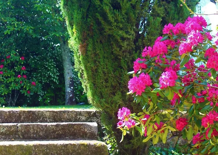 Quinta Da Lapa Do Gato Mesquitela